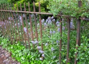 Restoration of the wrought iron railings at Mall Gardens in Clifton, Bristol by the team at Ironart