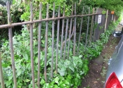 Restoration of the wrought iron railings at Mall Gardens in Clifton, Bristol by the team at Ironart