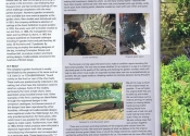 Antique Collecting Magazine - August 2014 Editorial