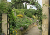 Simple lattice rose arch, Charlcombe Lane, Bath