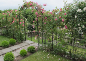 Rose arch with roses and trellising - Ironart of Bath