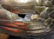 Damaged tail feathers