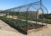 A large galvanized mild steel fruit and vegetable cage pergola with netting