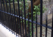 Railings at Woodland Place, Bathwick Hill, Bath