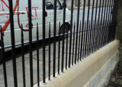 Railings at Woodland Place, Bathwick Hill, Bath