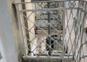 Clifton-Balcony-Restoration-1